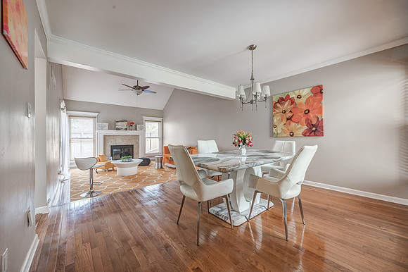 Reshoot8166HalseyST-1