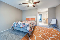 8166HalseyST-17