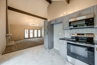 8146HalseyST-8