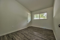 507ShawnDr-14