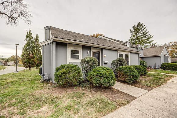8146HalseyST-24