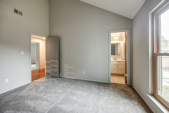 8146HalseyST-11