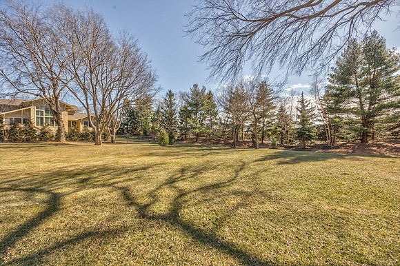 14236NiemanRd-48