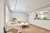 8418SummitST-10