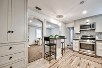 8418SummitST-13