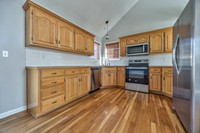 15895SLocustST-10