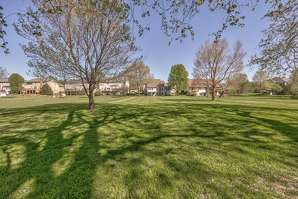 168CanyonViewDR-47