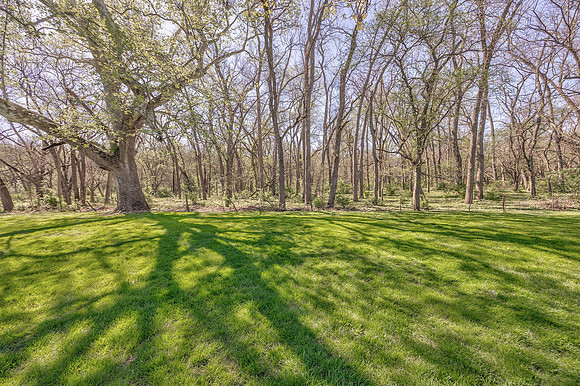 168CanyonViewDR-46