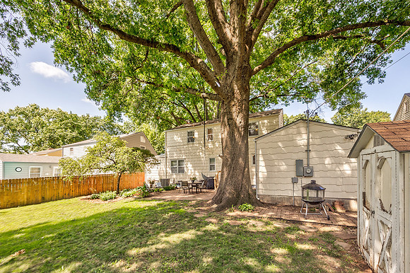 5421JuniperST-44