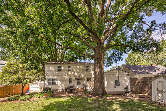 5421JuniperST-45