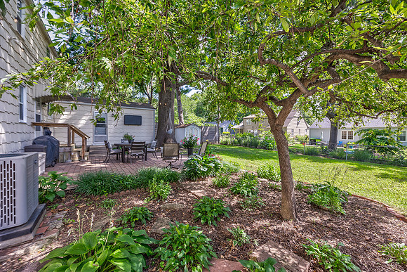 5421JuniperST-47