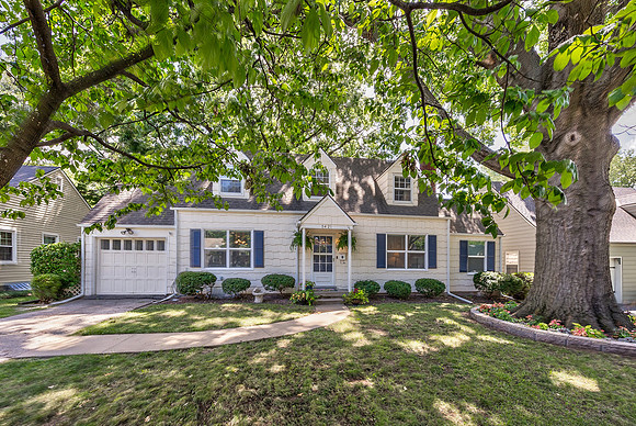 5421JuniperST-53