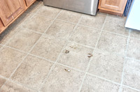 1417WhisperingMeadowsCT-12