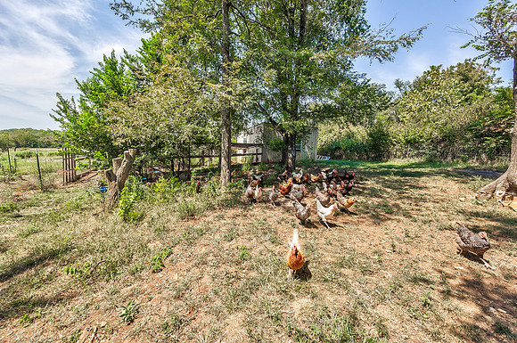 26030HospitalDR-73