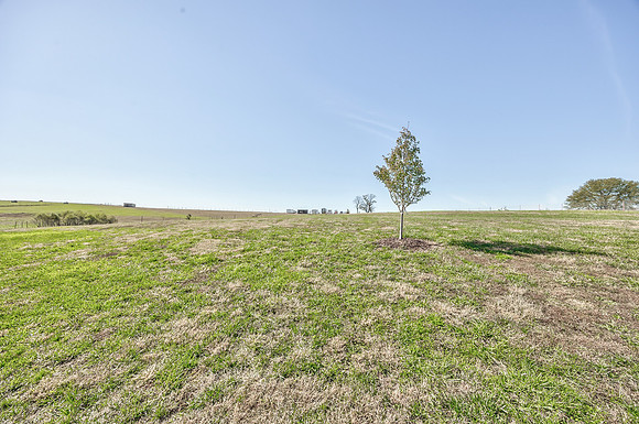 3896US59-64
