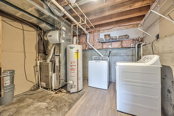 15895SLocustST-25