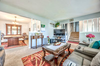 1001ECothrellST-3