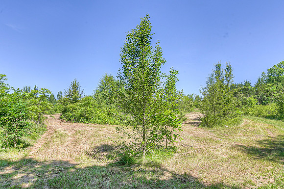 11322HubbardRd-17