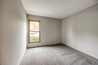 8146HalseyST-13