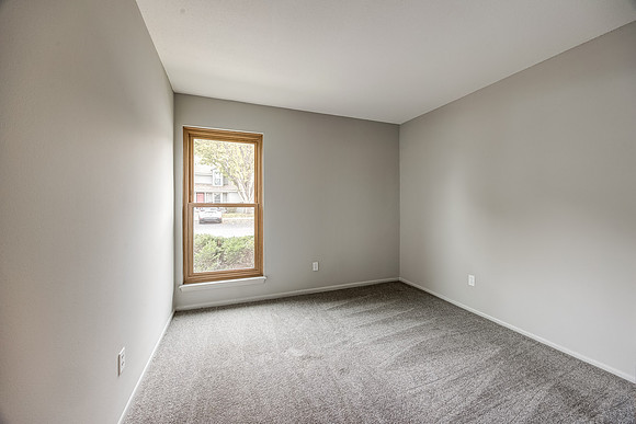 8146HalseyST-13
