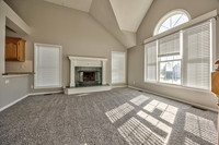 15895SLocustST-4