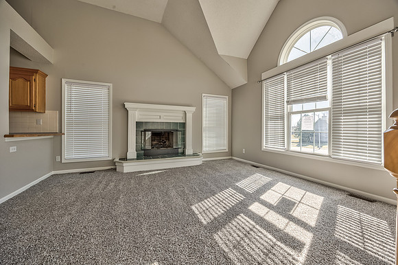 15895SLocustST-4