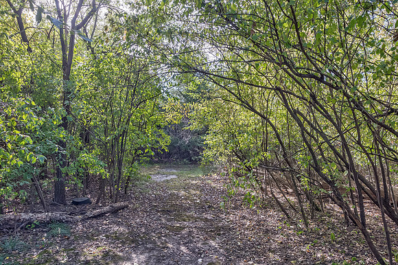 30825ExplorersTrail-13