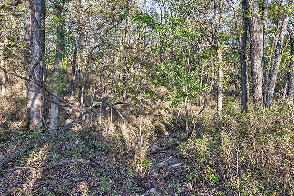 34050W127ST-17