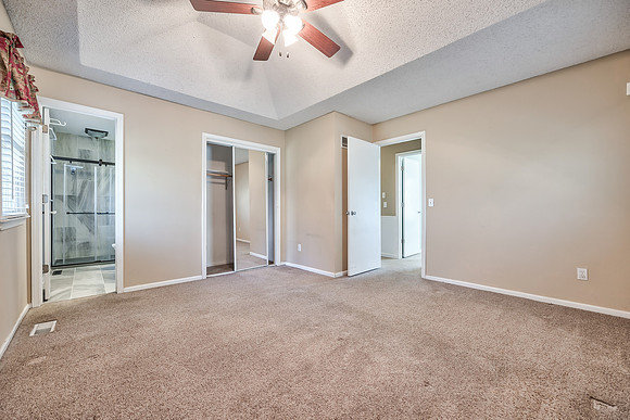 6538HalletST-24