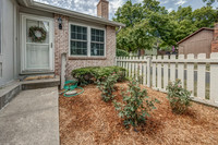10151Edelweiss-4