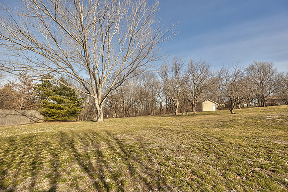 1012SWFoxtailDR-35