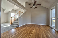 15895SLocustST-12