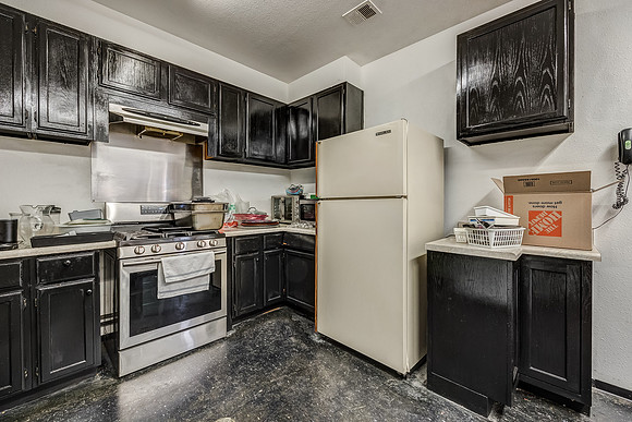 8448Flora-15