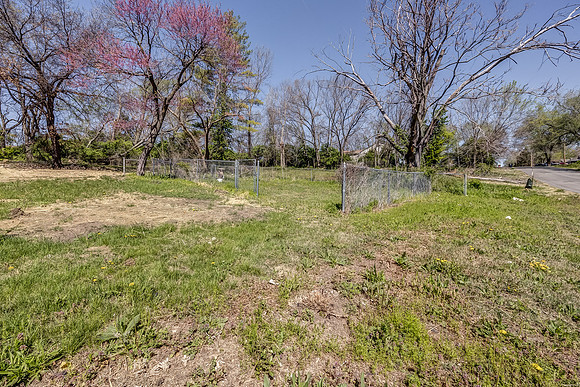 8448Flora-29