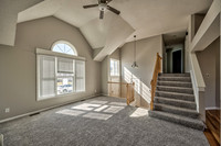 15895SLocustST-7
