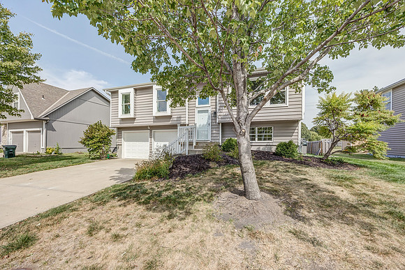 442NBirch-37