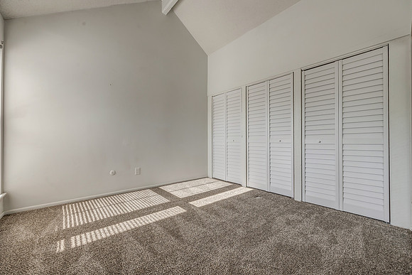 7920HalseyST-20