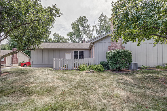 10151Edelweiss-1