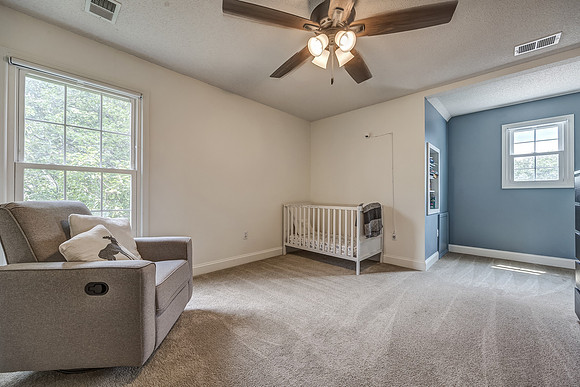 13174HayesST-24
