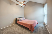 8166HalseyST-18