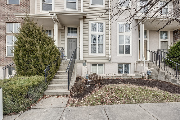 236NHedge-22