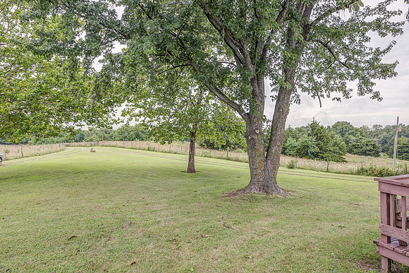 24897Hollingsworth-8