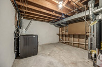 8166HalseyST-23