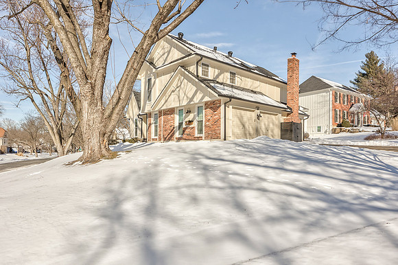 11323Hemlock-4