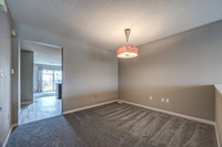 236NHedge-3