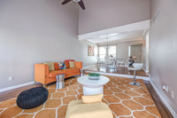 Reshoot8166HalseyST-5
