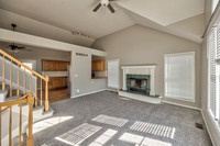 15895SLocustST-5