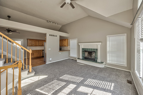 15895SLocustST-5