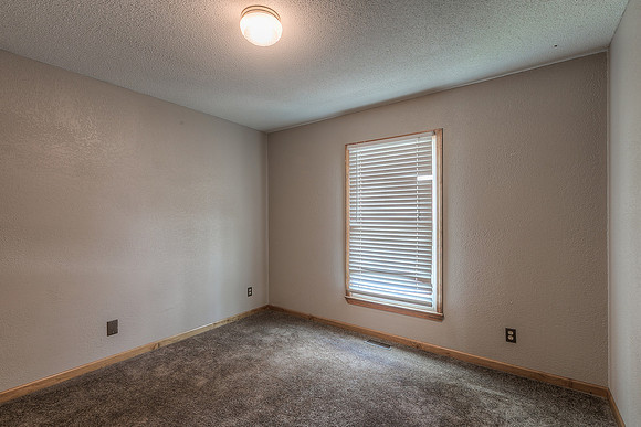 15405PinOak-13