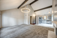 8146HalseyST-5